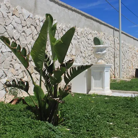 Casa Viky-3